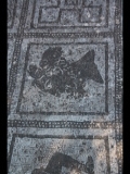 01174 ostia - regio ii - terme delle province - mosaik - ostseite - detail - 8. reihe pos 2 - wind - 2017.jpg